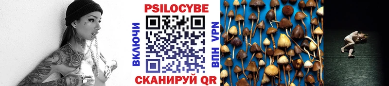 Галлюциногенные грибы Psilocybe  как найти закладки  Среднеколымск 